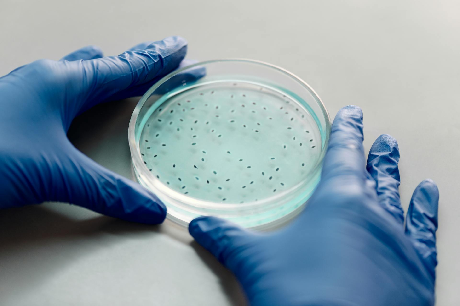 Microbios buenos: los amigos invisibles que cuidan a tus hijos