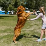 ¿Tu perro te copia? El curioso fenómeno del ‘espejo animal’